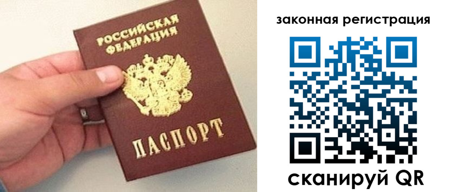 прописка для школы в Брянской области